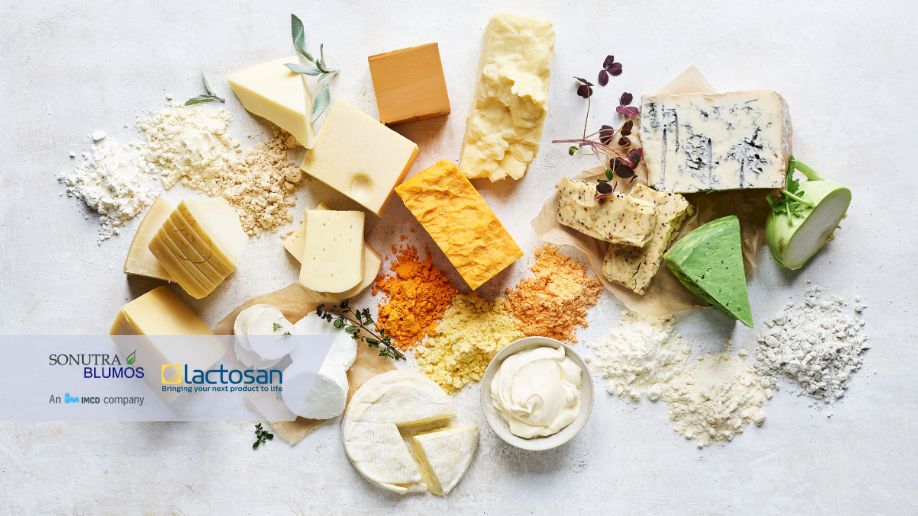 Quesos procesados y análogos: descubre como el Queso en Polvo LACTOSAN hace la diferencia